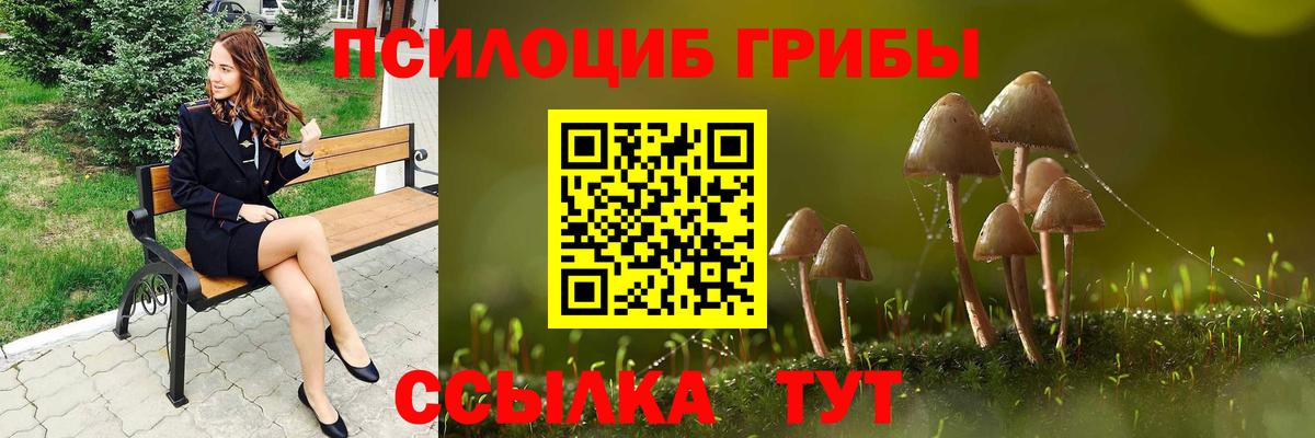 магазин продажи наркотиков  Вход с VPN  Псилоцибиновые грибы Psilocybine cubensis  Нарткала  Галлюциногенные грибы ЛСД 